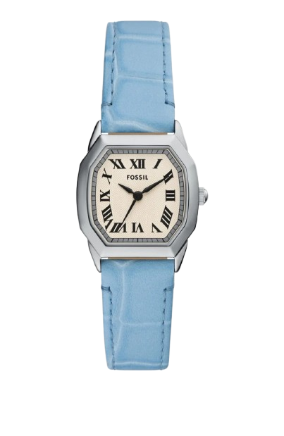 https://accessoiresmodes.com//storage/photos/2339/MONTRE FOSSIL/12e2d487-7b9a-4f5a-8bd5-728fbe367bca.png